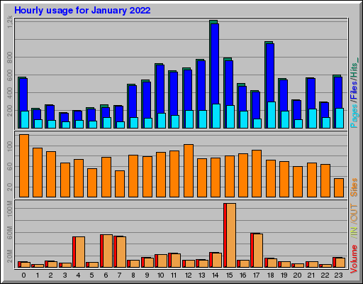 Raport Godzinowy -  styczeń 2022