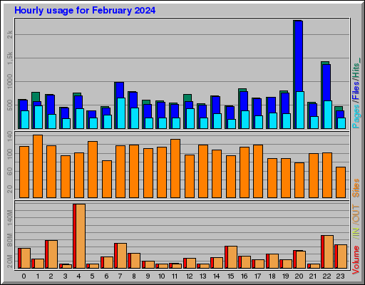 Raport Godzinowy -  luty 2024