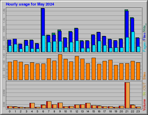 Raport Godzinowy -  Maj 2024
