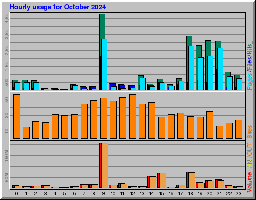 Raport Godzinowy -  październik 2024