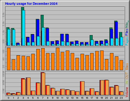 Raport Godzinowy -  grudzień 2024