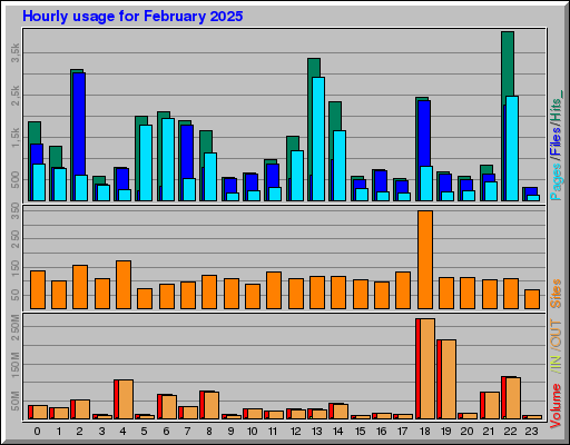 Raport Godzinowy -  luty 2025