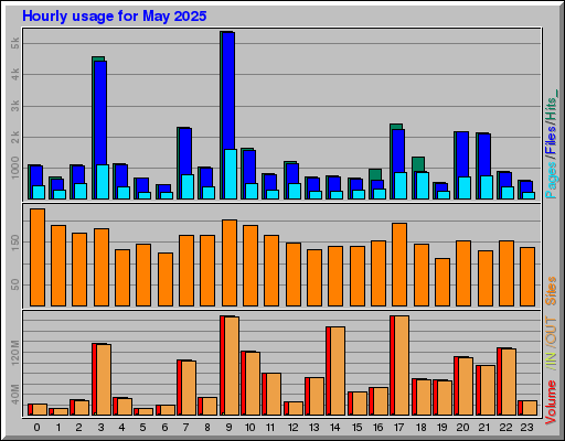 Raport Godzinowy -  Maj 2025