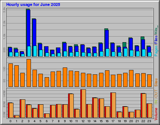 Raport Godzinowy -  czerwiec 2025