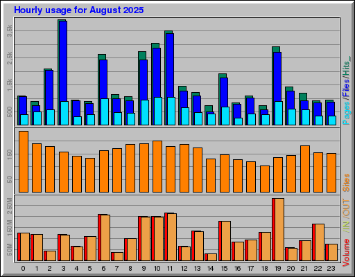 Raport Godzinowy -  sierpień 2025