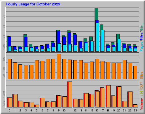 Raport Godzinowy -  październik 2025
