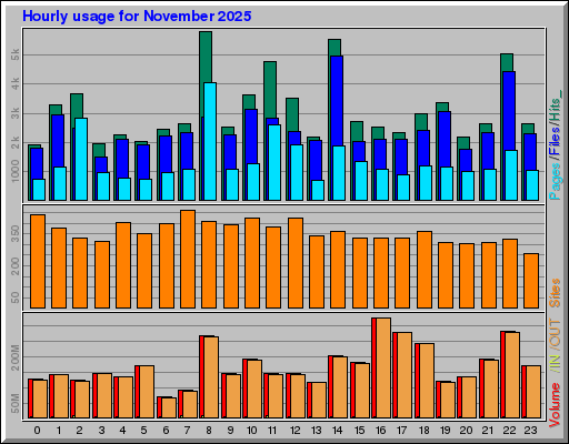 Raport Godzinowy -  listopad 2025