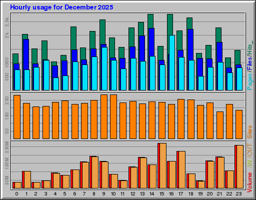 Raport Godzinowy -  grudzień 2025
