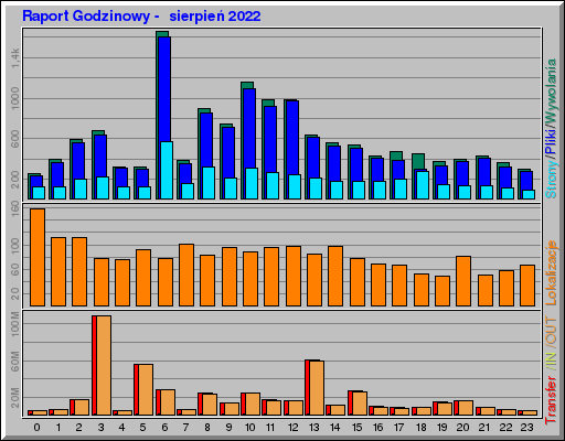 Raport Godzinowy -  sierpień 2022