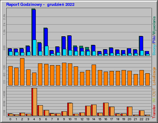 Raport Godzinowy -  grudzień 2022