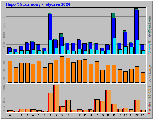 Raport Godzinowy -  styczeń 2024
