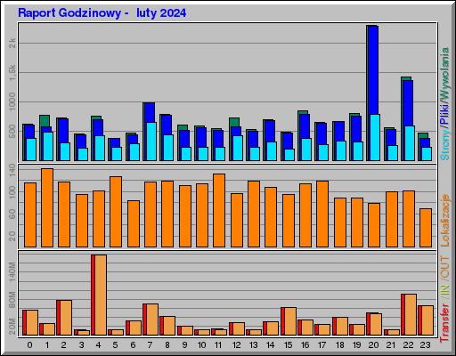 Raport Godzinowy -  luty 2024