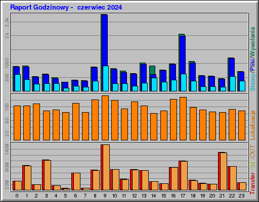 Raport Godzinowy -  czerwiec 2024