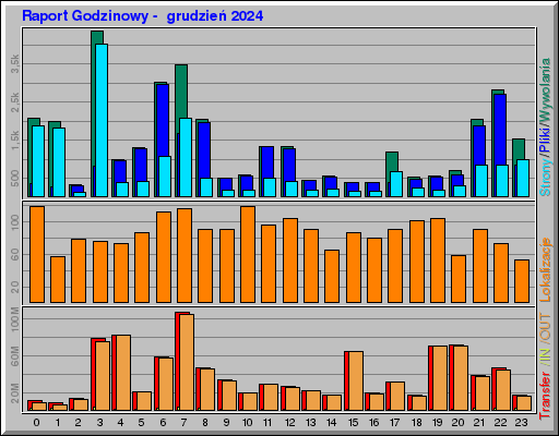 Raport Godzinowy - grudzieĹ 2024 Raport Godzinowy - grudzieĹ 2024