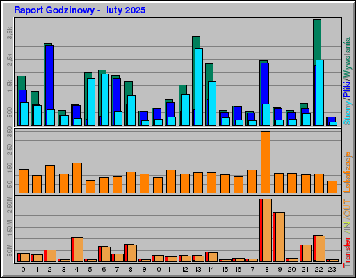Raport Godzinowy - luty 2025 Raport Godzinowy - luty 2025