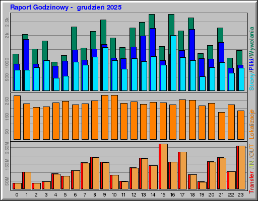 Raport Godzinowy -  grudzień 2025
