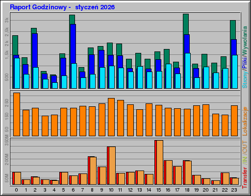 Raport Godzinowy -  styczeń 2026