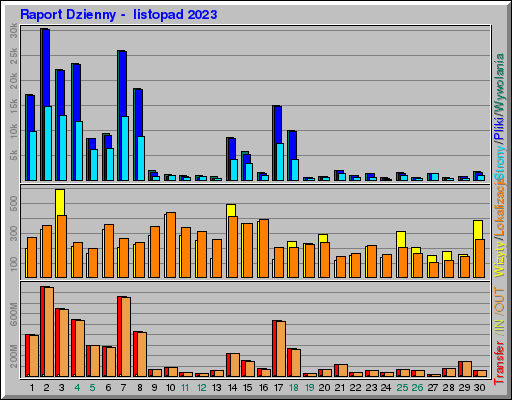 Raport Dzienny -  listopad 2023