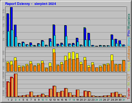 Raport Dzienny -  sierpień 2024