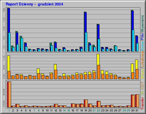 Raport Dzienny -  grudzień 2024