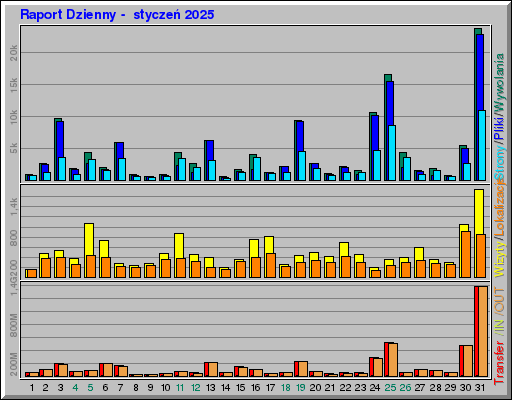 Raport Dzienny -  styczeń 2025