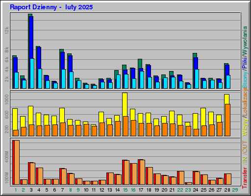 Raport Dzienny -  luty 2025