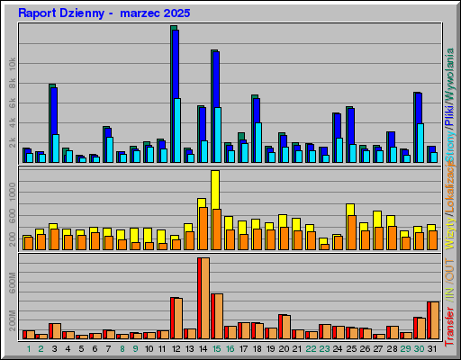 Raport Dzienny -  marzec 2025