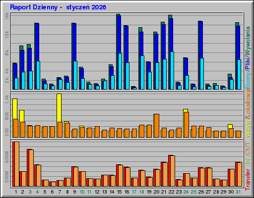 Raport Dzienny -  styczeń 2026