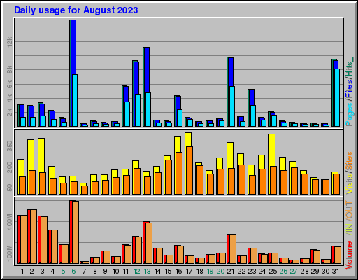 Raport Dzienny -  sierpień 2023