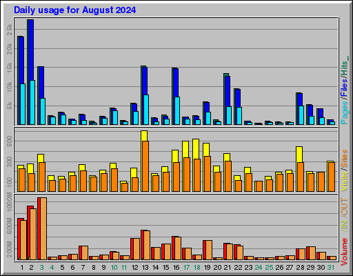 Raport Dzienny -  sierpień 2024