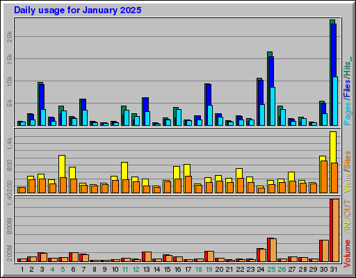 Raport Dzienny -  styczeń 2025