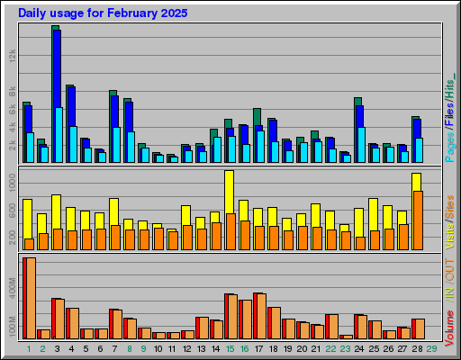 Raport Dzienny - luty 2025 Raport Dzienny - luty 2025