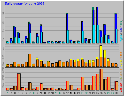 Raport Dzienny -  czerwiec 2025
