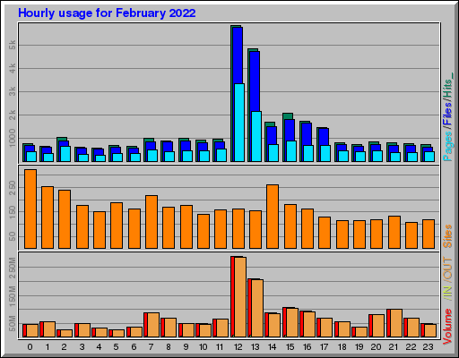 Raport Godzinowy -  luty 2022