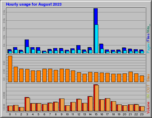 Raport Godzinowy -  sierpień 2023