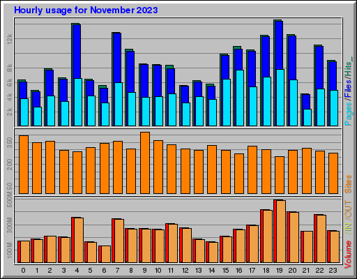 Raport Godzinowy -  listopad 2023