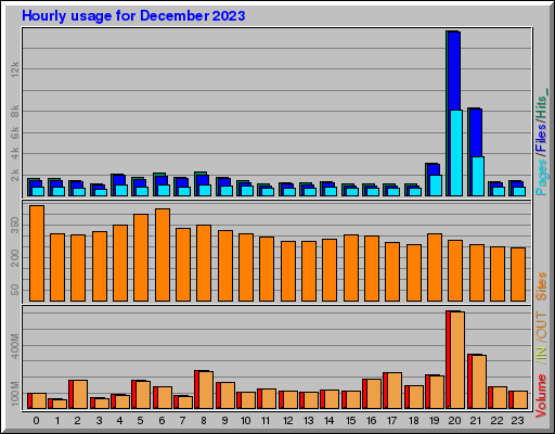 Raport Godzinowy -  grudzień 2023