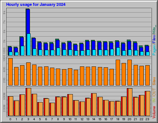 Raport Godzinowy -  styczeń 2024