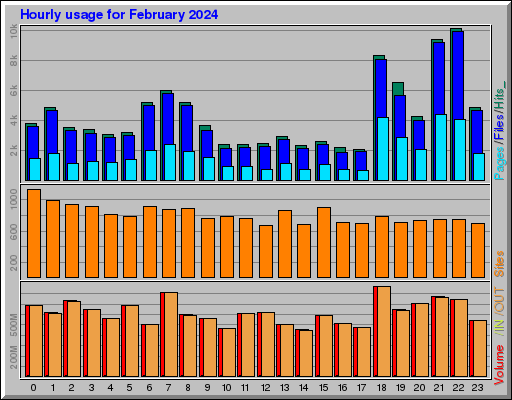 Raport Godzinowy -  luty 2024