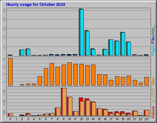 Raport Godzinowy -  październik 2024