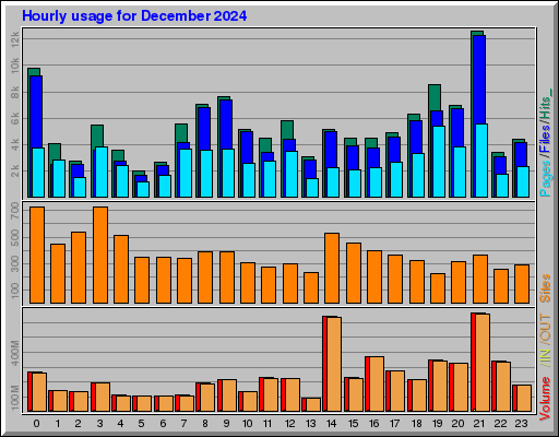 Raport Godzinowy - grudzień 2024 Raport Godzinowy - grudzień 2024