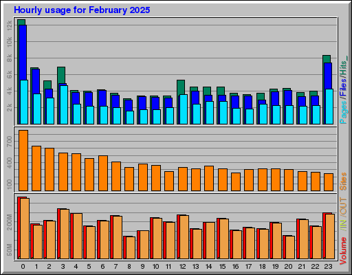 Raport Godzinowy - luty 2025 Raport Godzinowy - luty 2025