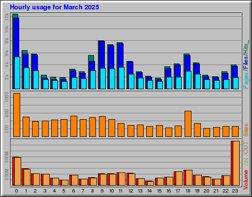 Raport Godzinowy -  marzec 2025