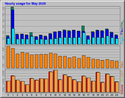 Raport Godzinowy -  Maj 2025