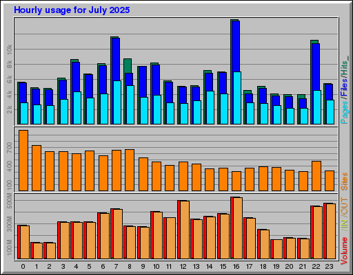 Raport Godzinowy -  lipiec 2025