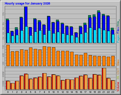 Raport Godzinowy - styczeń 2026 Raport Godzinowy - styczeń 2026