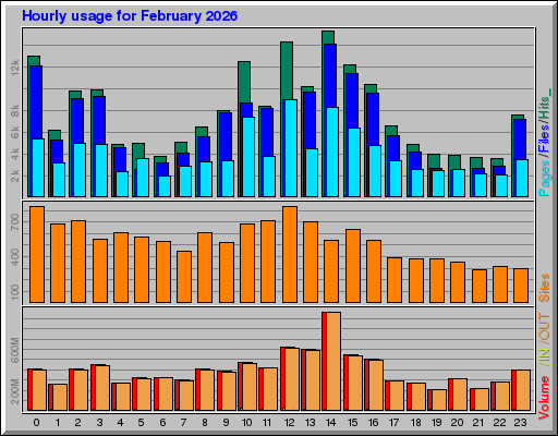 Raport Godzinowy -  luty 2026