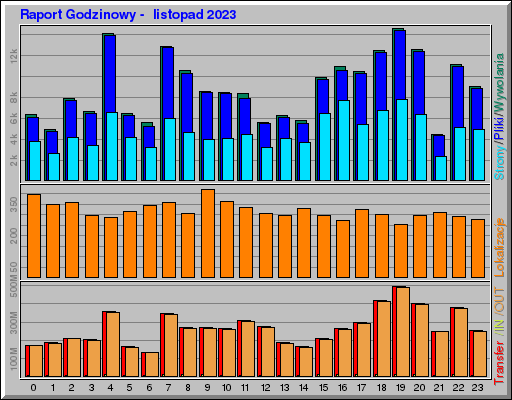 Raport Godzinowy -  listopad 2023