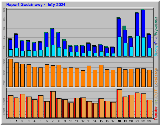 Raport Godzinowy -  luty 2024