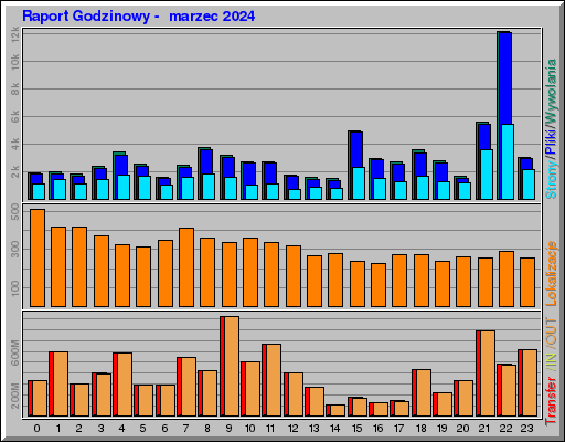 Raport Godzinowy -  marzec 2024